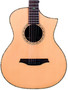 Bromo Rocky Mountain Electro Acoustic Guitar Cutaway BAR5CE