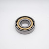 NU305EM Cylindrical Roller Bearing Brass Cage 25x62x17mm Bottom View