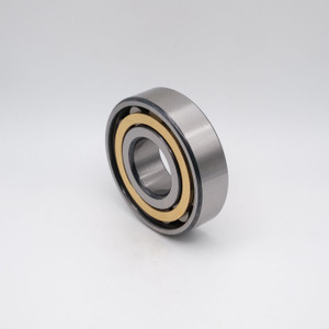 N307EM Cylindrical Roller Bearing Brass Cage 35x80x21 Angled View