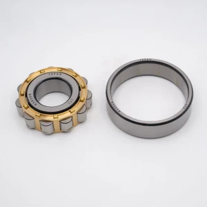 N308EM Cylindrical Roller Bearing Brass Cage 40x90x23 Separated View