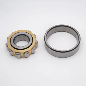 N310 Cylindrical Roller Bearing 50x110x27 Separated View