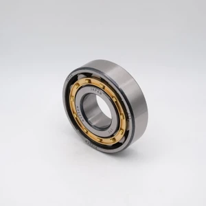 N312EM Cylindrical Roller Bearing Brass Cage 60x130x31 Angled View