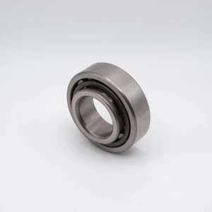 NJ311EM Cylindrical Roller Bearing Brass Cage 55x120x29 Angled View