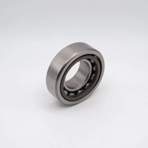 NJ311EM Cylindrical Roller Bearing Brass Cage 55x120x29 Angled View