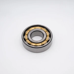 NU310EMC3 Cylindrical Roller Bearing Brass Cage 50x110x27 Top View