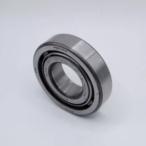 RL-11L Cylindrical Roller Bearing 1-1/8x2-1/2x5/8 Front Right Angled View