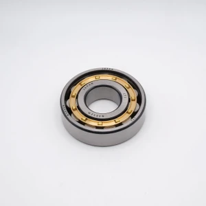 NU305EC3 Cylindrical Roller Bearing Steel Cage 25x62x17mm Top View