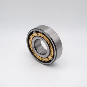 NU305EC3 Cylindrical Roller Bearing Steel Cage 25x62x17mm Front Right Angled View