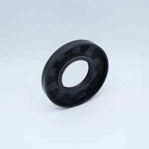 70.110.10TC Shaft Seal 70x110x10mm Back Angled View