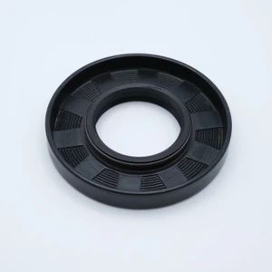 70.110.10TC Shaft Seal 70x110x10mm Back View