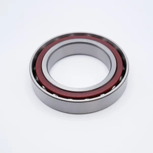 7311B Angular Contact Ball Bearing 55x120x29mm Back View