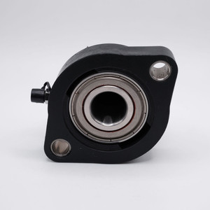TP-SSBLF204-12 2-Bolt Flange Bearing 3/4" Bore Back View