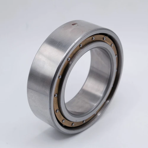 SL183010 Cylindrical Roller Bearing Brass Cage 50x80x23mm Left Angled View