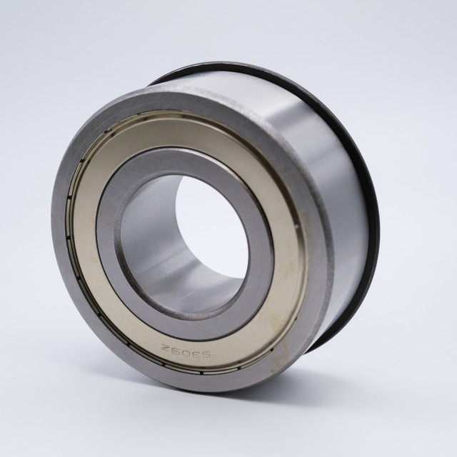 5304ZZNR Double Row Ball Bearing 20x52x22.2 Snap Ring 5304CFFG