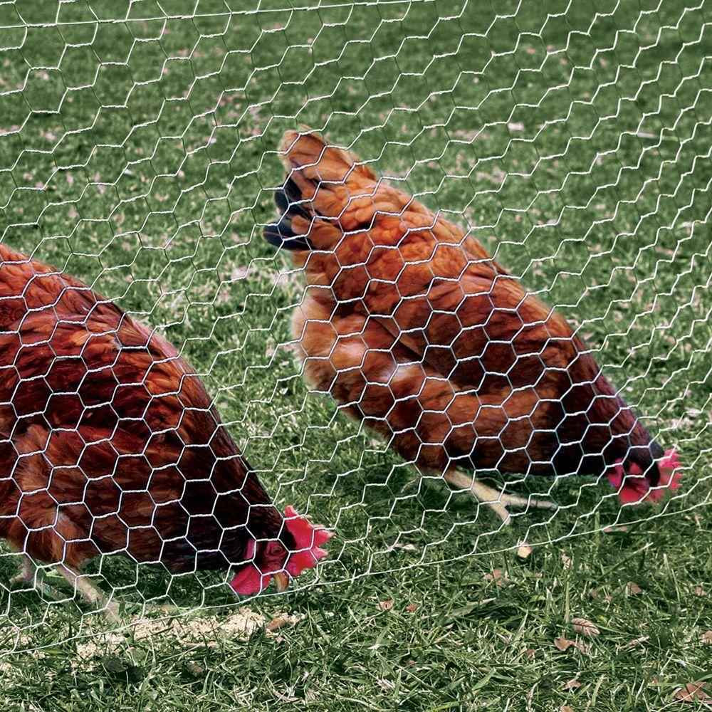 20 Gauge Galvanized Poultry Netting with 1