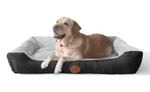 Dog Beds