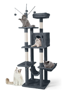 Cat Trees