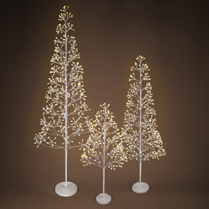 Lighted Trees