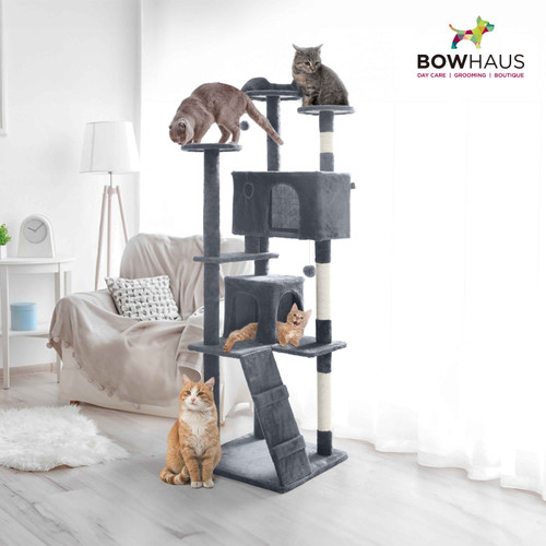 74" Cat Tree with Multi-Level Design for Climbing & Lounging