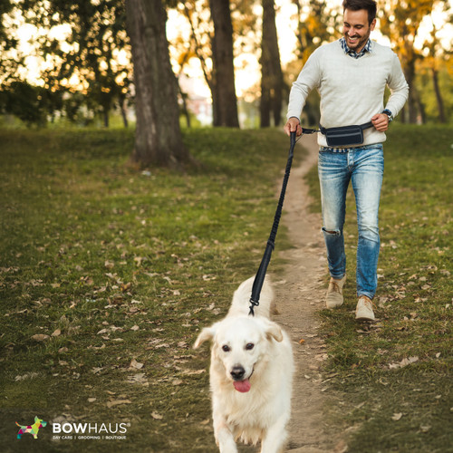 Hands Free Dog Leash with Zipper Pouch