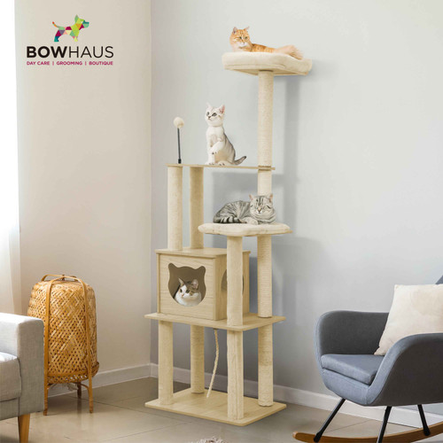 65" Wooden Cat Tree with Cave Condo for Indoor Cats