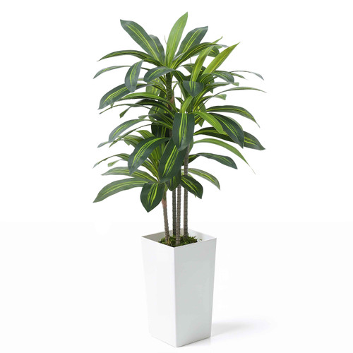Artificial Dracaena Tree, Fake Plant with White Planter & Moss, Multiple Options