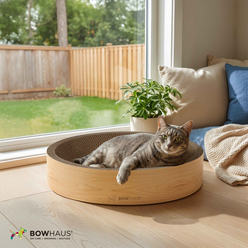 Round Cat Scratcher Bed, Reversible Cardboard Cat Scratch Bowl