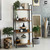 CAPHAUS 4/5 Tier Ladder Bookshelf, Various Colors Available