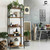 CAPHAUS 4/5 Tier Ladder Bookshelf, Various Colors Available