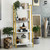 CAPHAUS 4/5 Tier Ladder Bookshelf, Various Colors Available