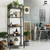 CAPHAUS 4/5 Tier Ladder Bookshelf, Various Colors Available