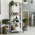 CAPHAUS 4/5 Tier Ladder Bookshelf, Various Colors Available