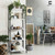 CAPHAUS 4/5 Tier Ladder Bookshelf, Various Colors Available