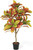 Artificial Topiary Croton Tree, 30-Inch / 36-Inch / 42-Inch