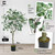Artificial Eucalyptus Tree, 4ft / 5ft / 6ft