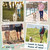Heavy Duty Dog Leash with Soft Padded Handle