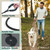 Heavy Duty Dog Leash with Soft Padded Handle