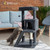 37"  Multi-Level Cat Tree for Indoor Cats with Condo & Scratch Posts