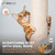 Lady Bug-Style Cat Scratching Post with Sisal Rope and Interactive Ball