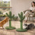 Cactus Cat Scratching Post with Sisal Rope and Interactive Ball