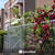 4ft. Height 11.5 Gauge Galvanized Steel Chain Link Fence Kit w/Fence Fabric, Gate, Posts, Top Rails & Hardware, Multiple Options