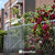 5ft. Height 11.5 Gauge Galvanized Steel Chain Link Fence Kit w/Fence Fabric, Gate, Posts, Top Rails & Hardware, Multiple Options