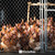 6ft. Height 11.5 Gauge Galvanized Steel Chain Link Fence Kit w/Fence Fabric, Gate, Posts, Top Rails & Hardware, Multiple Options