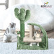 Cactus Cat Scratcher with Scratching Board & Interactive Toy