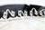 Profile Pivot Sequential Switchback Controller (8 outputs)