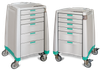 Capsa Healthcare Keys – 1 ea, Precision‑welded Steel Frame with High‑impact Panels, For Medication Rounds