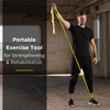 Performance Health Theraband CLX – Resistance Band with Loops, 17 Configuration Options, 1 ea