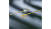 Bard Medical Silastic Foley Catheter, 2-Way Specialty – Short Round Tip, Opposing Drainage Eyes, 10 per case