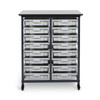 Luxor Mobile Bin Storage Unit - Double Row with Small Gray Bins 30.75x20x37.5 in Steel Build
