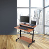 Luxor Mobile Height Adjustable Workstation 24x28.8x34.1 in Steel Build Rolling Casters Locking Design